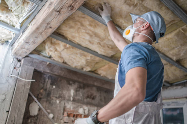 Best Eco-Friendly Insulation in Mifflinburg, PA